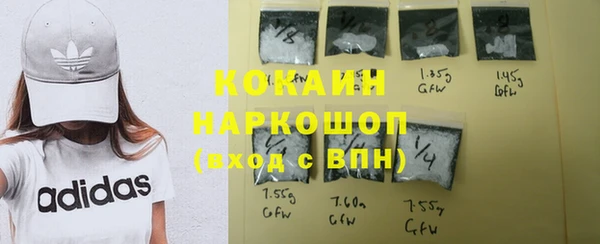 ешки Арсеньев